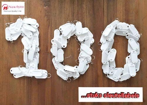 Sleutellabels - Sleutellabel - Sleutelhangers - Sleutelhanger - Wit - 100 Stuks-0