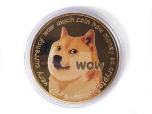 Dogecoin Munt kleur - Afbeelding 1