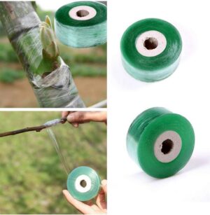 Fruitbomen enttape - 25mm breed - Zelfklevend - 100m lengte - tape voor enten 5 stuks - Afbeelding 5