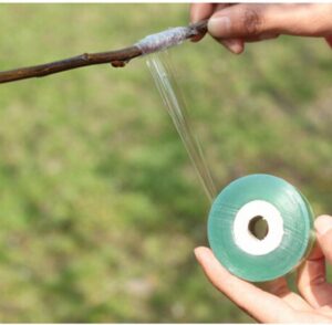 Fruitbomen enttape - 25mm breed - Zelfklevend - 100m lengte - tape voor enten 5 stuks - Afbeelding 3