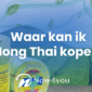 Waar kan ik Hong Thai kopen