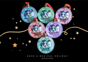 Unieke kerstballen met honden design: Corgi wrapped in pastel colors.