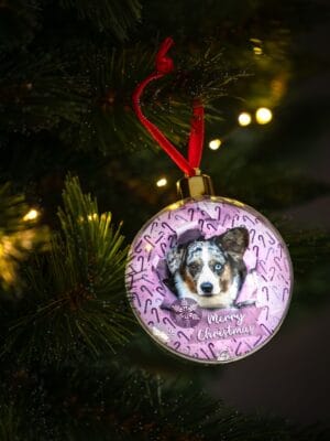Unieke kerstballen met honden design: Corgi wrapped in pastel colors. - Afbeelding 7