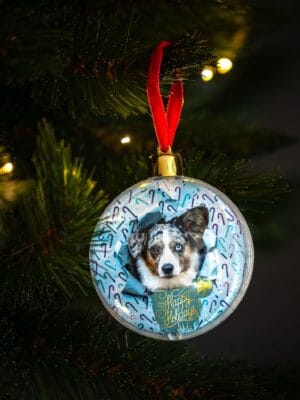 Unieke kerstballen met honden design: Corgi wrapped in pastel colors. - Afbeelding 4