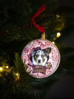 Unieke kerstballen met honden design: Corgi wrapped in pastel colors. - Afbeelding 5