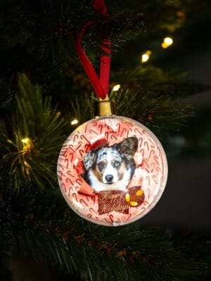 Unieke kerstballen met honden design: Corgi wrapped in pastel colors. - Afbeelding 3
