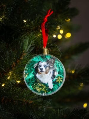Unieke kerstballen met honden design: Corgi Christmas Mix. - Afbeelding 5